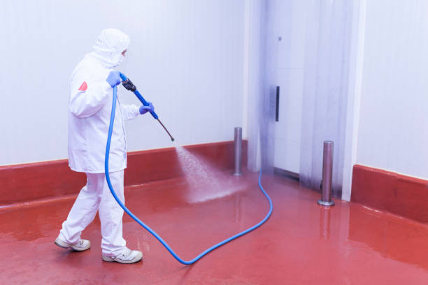 Best Spring Cleaning  in Macon, MS